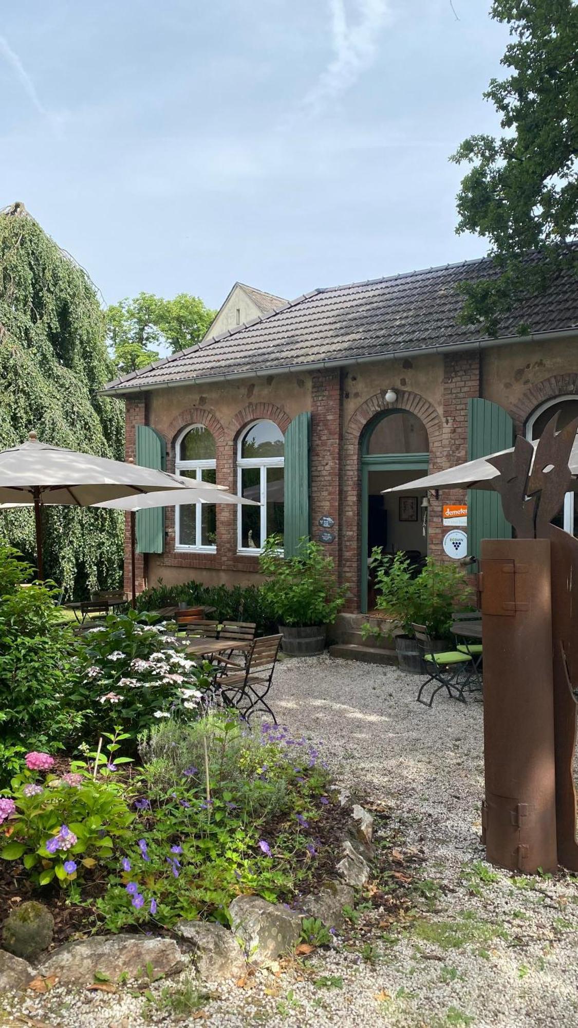 Weingut Dr Wagner Villa Saarburg Exterior photo